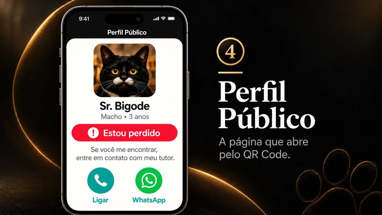 Página pública com alerta de gato perdido