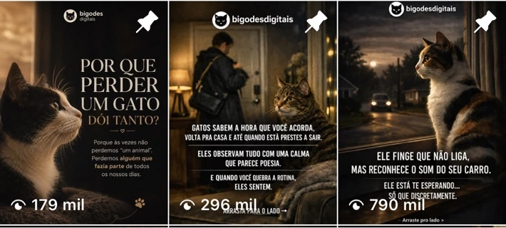 Publicações reais do Bigodes Digitais, cuja audiência alcança, em média, mais de 2 milhões de visualizações por mês